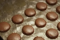 Macaroons in the making at the Pierre Marcolini factory