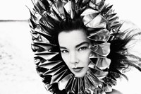 Bj&#246;rk for AnOther Magazine A/W10