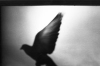 Giacomo Brunelli, Untitled from the series Eternal London, 2