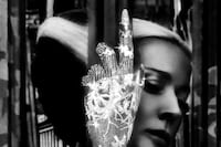 Shaun Leane Diamond Glove - Daphne Guiness - Credi