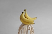 2DAY Store Anna Santangelo Fanny Kübler