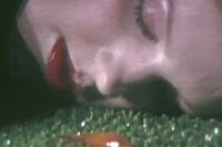 SHOWstudio 25th Anniversary