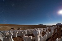 Penitentes in the Atacama Desert