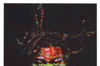 8. Yinka Shonibare CBE, ‘Self Portrait (after Warh