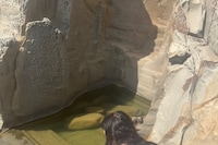 Jo Fetto’s Summer Photo Dump