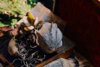 The Gilded Mischief by Giles Deacon