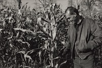 David Wojnarowicz at The Modern Institute