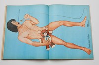 Playgirl magazine archive male erotica vintage porn 70s 80s