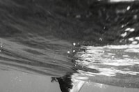 Not All Venuses Are Born from the Sea by Marco Imperatore