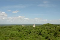 Where On Earth: Tikal Mike Murga