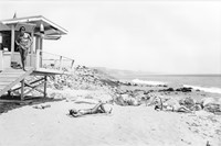 At the Beach by Tod Papageorge