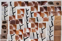 My Mother and Eye by Carmen Winant