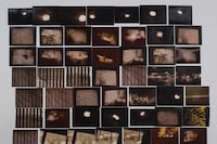 My Mother and Eye by Carmen Winant