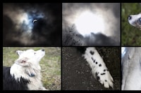 This Will Not End Well by Nan Goldin