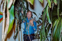 Scopin: Chelsea Hotel