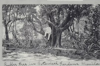 Fashion in Film Festival 2025