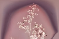 Catching Flies with Honey by Joy Gregory 