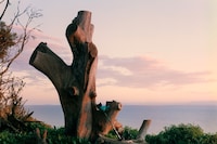 Devlin Claro: Crushing at Donald Ryan Gallery