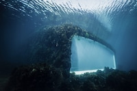 New Nordic: Cuisine, Aesthetics and Place