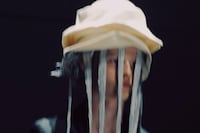 Comme des Garçons Homme Plus Spring/Summer 2027
