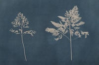 Catching Flies with Honey by Joy Gregory 