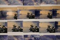 My Mother and Eye by Carmen Winant