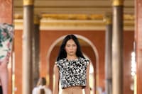 Louis Vuitton Spring/Summer 2026