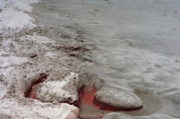 Ana Mendieta at Tate Modern