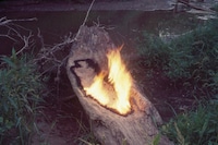 Ana Mendieta at Tate Modern
