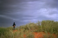 Catching Flies with Honey by Joy Gregory 