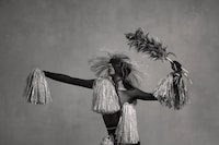 Birds of Mexico City by Pieter Henket