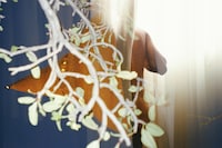 La Liberté ou L’Amour