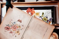 Gucci: The Art of Silk