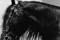 Burberry Winter 25 Campaign