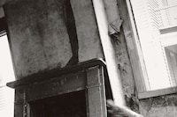 Francesca Woodman: Works from the Verbund Collection