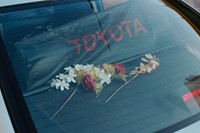 14 - Toyota Flowers, Ramallah, Palestine, 2018