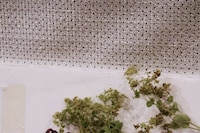 Paolo Carzana Spring/Summer 2026