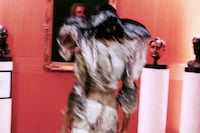 Paolo Carzana Spring/Summer 2026