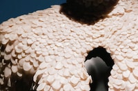 Schiaparelli: Fashion Becomes Art 