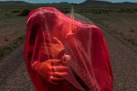 Inez &amp; Vinoodh, Think Love, 2025