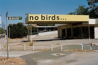 No Birds by Adam Peter Johnson 