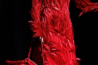 Ferragamo Autumn/Winter 2025 AW25 FW25