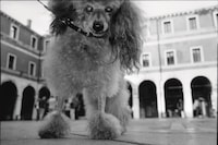 Jim Jarmusch for AnOther Man Winter/Spring 2026