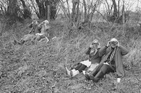 Utterly Lazy and Inattentive by Martin Parr 