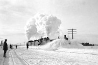 Dormant Season by Erinn Springer 