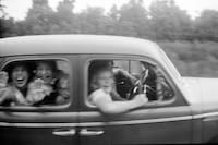 Dormant Season by Erinn Springer 