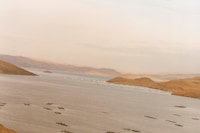 Andean Explorer, As Seen By Colin Dodgson