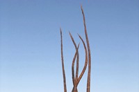 Wanda Orme Akasha 2020 Salton Sea art sculpture