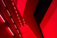 Bass by Steve McQueen