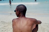 Catching Flies with Honey by Joy Gregory 